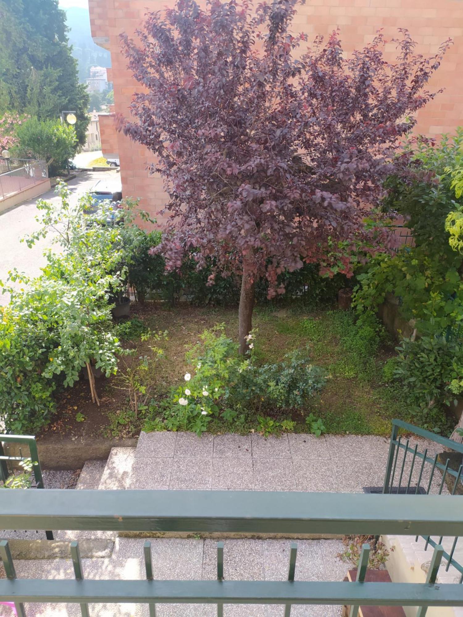 Casa Paola Villa Cetona Dış mekan fotoğraf